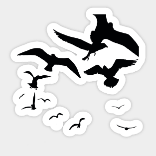 Seagull Bird Flock Scavenging Black Silhouette Sticker